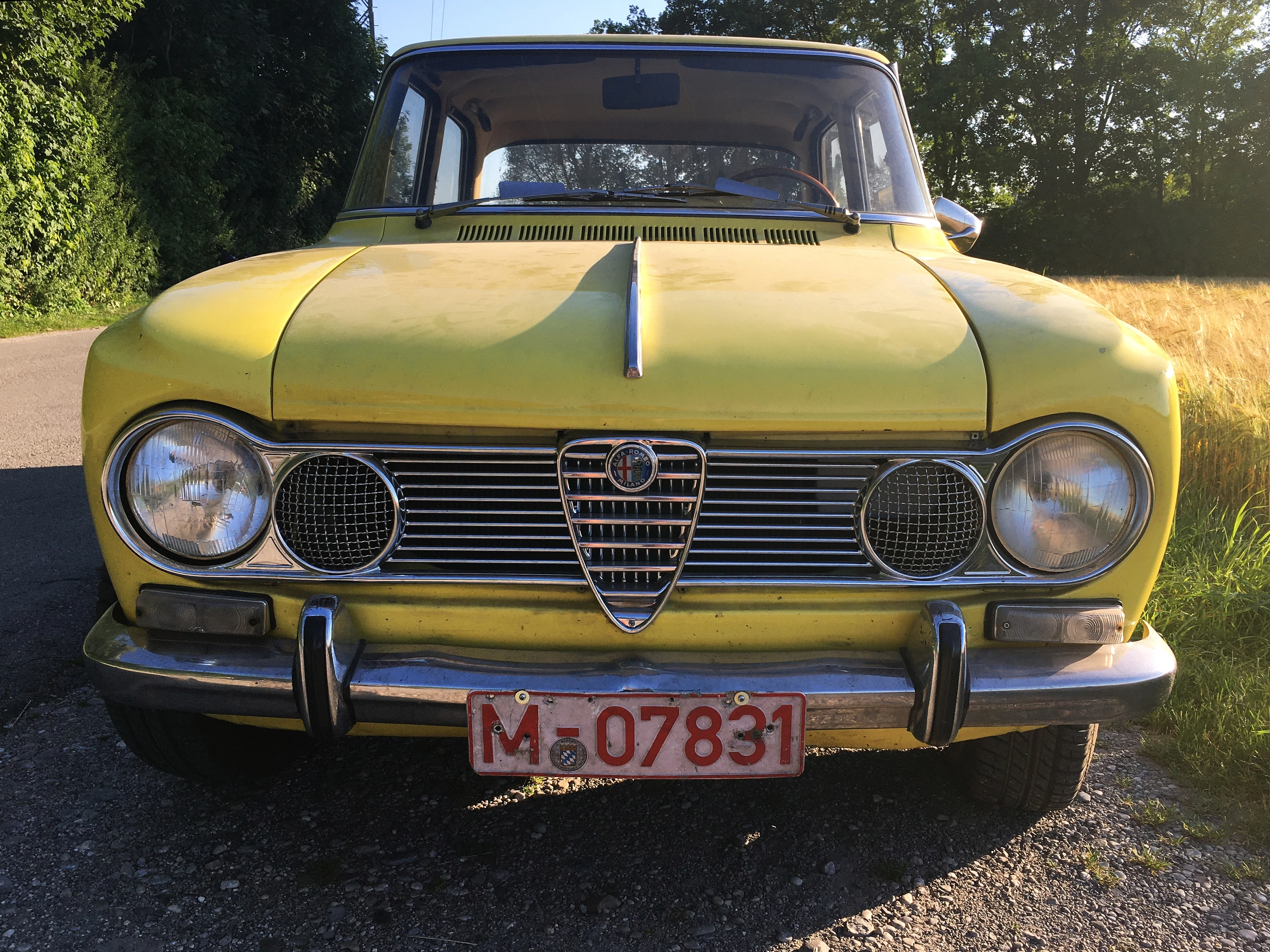 Gelbe Alfa Romeo Giulia 1300 TI von vorn mit rotem Oldtimerkennzeichen M-07831