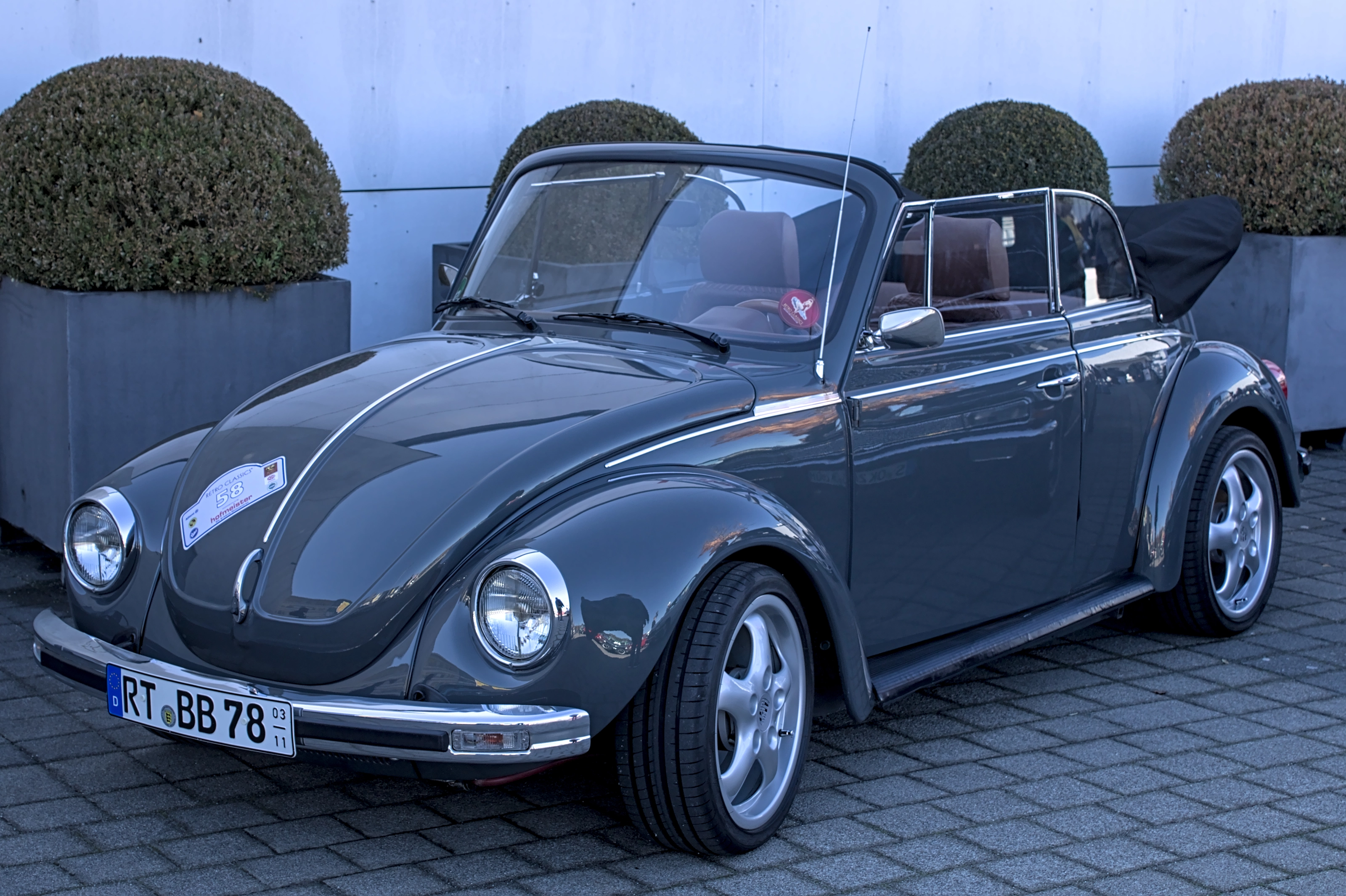 Dunkelgraues VW Käfer Cabriolet mit geöffnetem Verdeck von vorne schräg, am Stoßfänger ein Saisonkennzeichen mit dem Zeitraum 03 bis 11